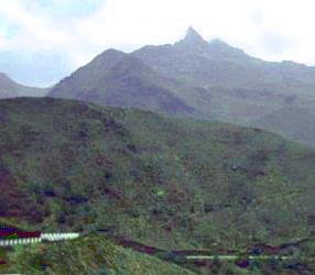 pico