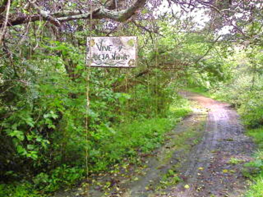 foto remota