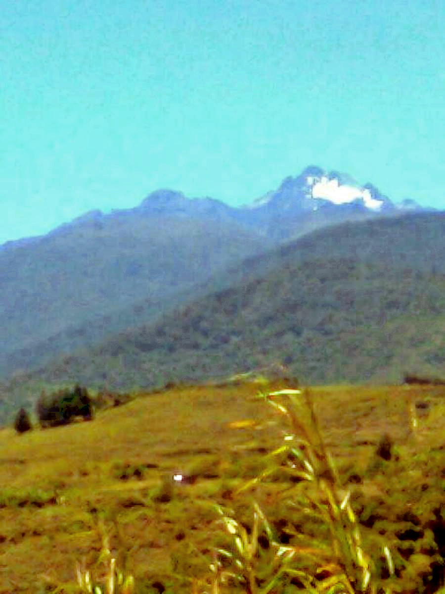 La Aguja
