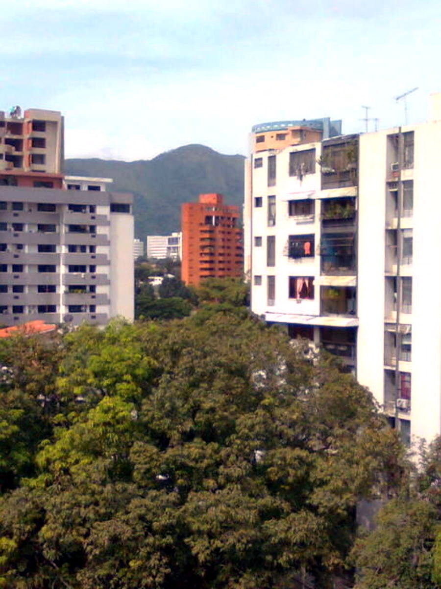 Imagen0229