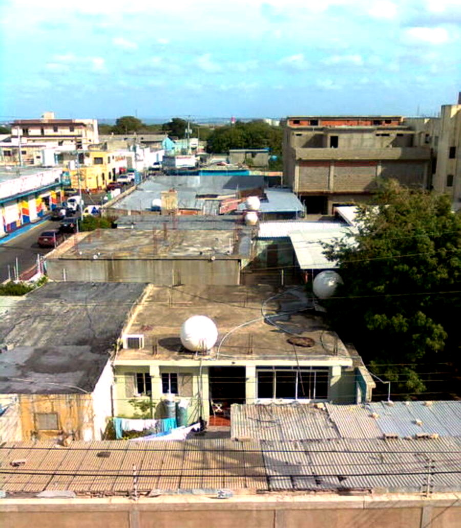 Imagen0230