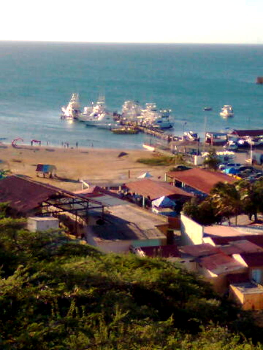 Imagen0240