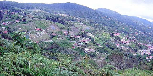 Sector noreste de la Colonia Tovar, viendo hacia Caracas