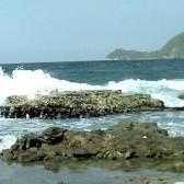 olas