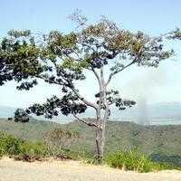 subidasanpedro
