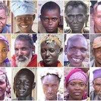 Diversidad