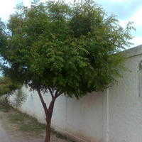 =?UTF-8?Q?El_nin_est=C3=A1_de_moda?=
