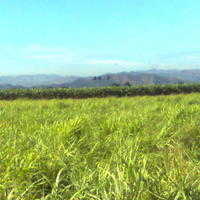 =?UTF-8?Q?La_serran=C3=ADa?=