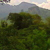 Morro de (en) Tacamire