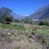 Imagen000 001