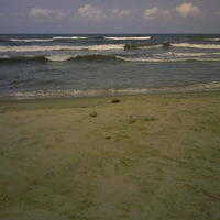 Imagen002