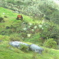 Imagen0201