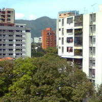 Imagen0229
