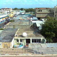 Imagen0230