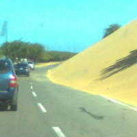 Imagen0235