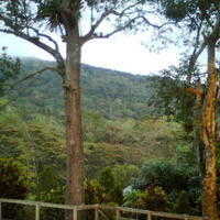 Imagen0242