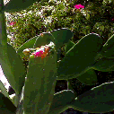 Imagen025a