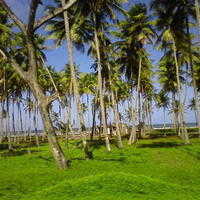 Imagen028