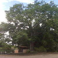 Adivinanza