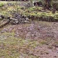 malquimachay