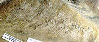 wadi el hol-inscription