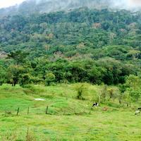 Más panoramas 3