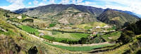 elvergel1