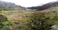 paramoStoD
