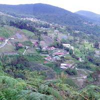 Sector noreste de la Colonia Tovar, viendo hacia Caracas