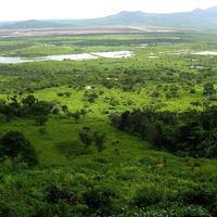 El sector al este de Tocópero, con vista a las lagunas camaroneras que aparentemente estaban vacías en esta época, por lo demás húmeda y verde.