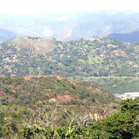 Paracotos y alrededores. Al fondo, muy al fondo y arriba, se ven los edificios de La Rosaleda, en San Antonio de los Altos.