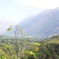 La "boca" del valle del Mucujún, que también llaman 'La Culata'. Esto es en el sector Vallecito.