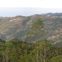 La carretera que va hacia La Victoria desde la Colonia Tovar, en un sector que llaman 'Paraíso'. El horizonte falso que se aprecia al fondo se debe a la calina de febrero.