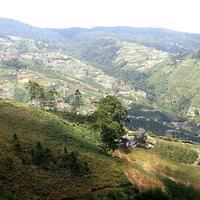 La carretera Colonia Tovar-Caracas, vista desde el sector Potrero Perdido.