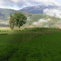 Un sector del valle agrícola de Pueblo Llano