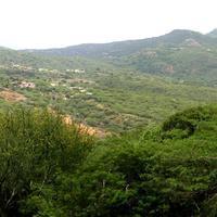 Vista hacia el oeste desde La Ciénaga de Cumarebo