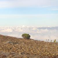La cuenca del Lago de Maracaibo vista desde el Alto de Timotes (bueno, el lago está debajo de las nubes).