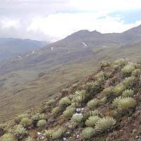 Vista del estado Mérida desde el límite con Trujillo, cerca de Arenal.