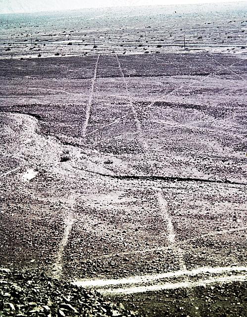 Nazca 1977