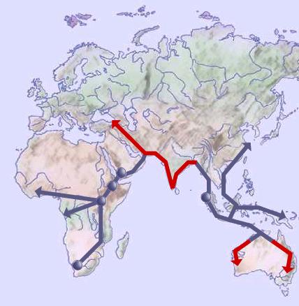 Migración de hace 55000 años
