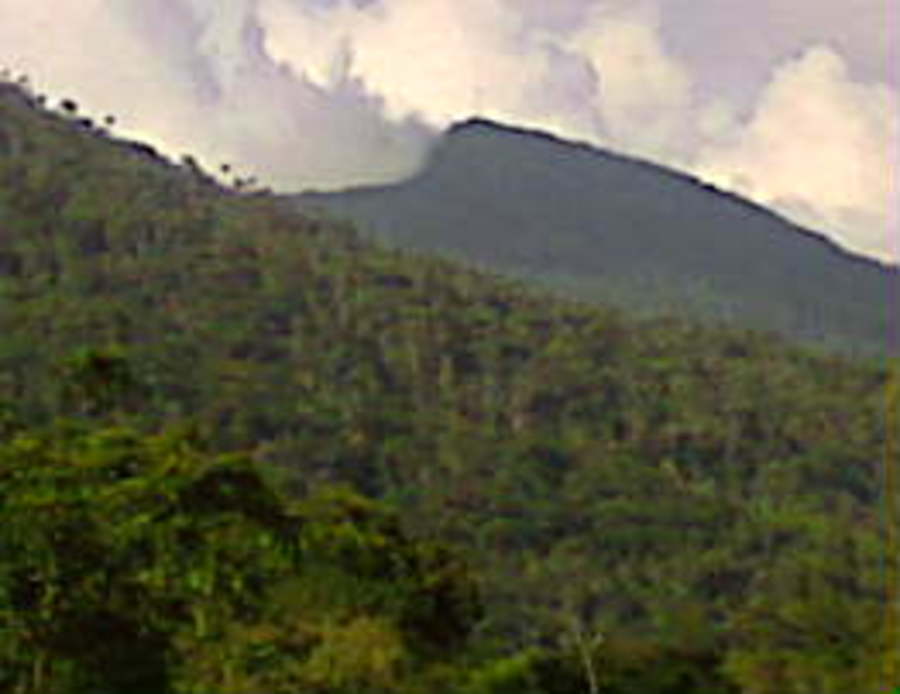 El pico Codazzi