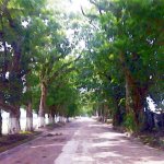 IMG01179.jpg