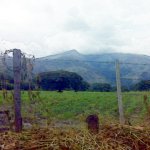 IMG01188.jpg