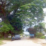 IMG01197.jpg