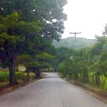 IMG01211.jpg