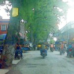 IMG01233.jpg