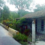 IMG01240.jpg