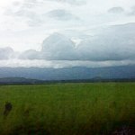 IMG01244.jpg