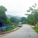 IMG01263.jpg