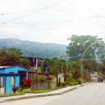 IMG01264.jpg